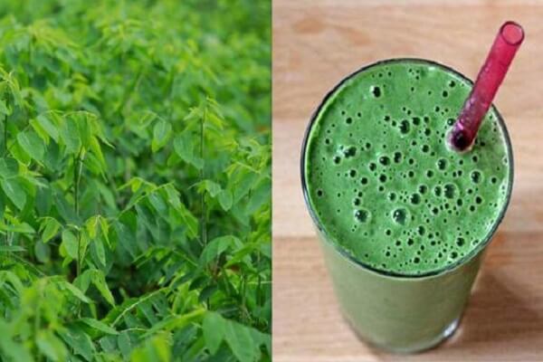 Thực đơn giảm cân "thần tốc" với rau ngót 37 rn