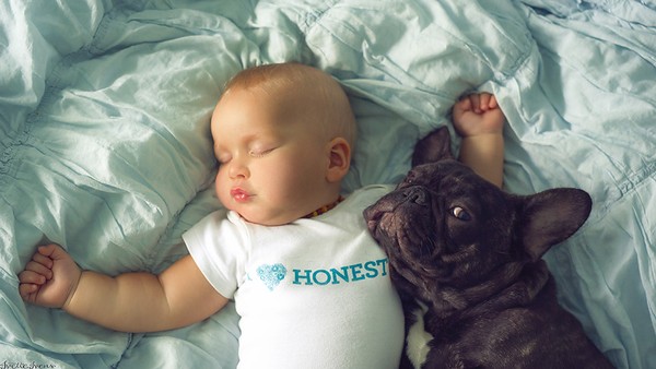 Tình cảm trong sáng, vô điều kiện của bé trai và chú chó bull 43 Tình cảm trong sáng của bé trai và chú chó bull sinh cùng ngày