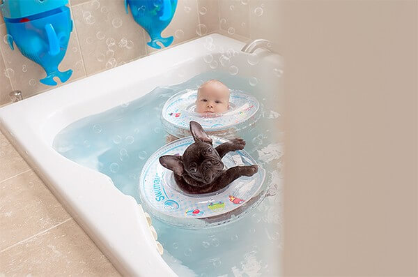Tình cảm trong sáng, vô điều kiện của bé trai và chú chó bull 44 Tình cảm trong sáng của bé trai và chú chó bull sinh cùng ngày