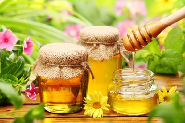 Top 10 loại “dược liệu” tự nhiên siêu tốt cho bé 14