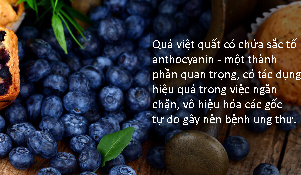 Top 10 thực phẩm hàng đầu chống lại các tia cực tím mùa hè 42 Top 10 thực phẩm hàng đầu chống lại các tia cực tím mùa hè 14