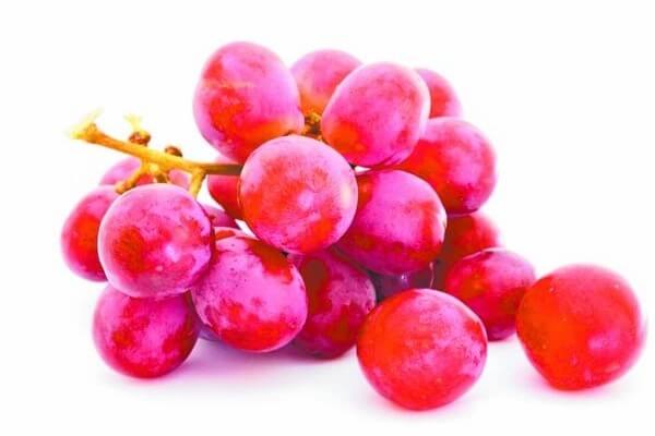 Top 7 nhóm thực phẩm giúp trẻ hóa làn da 41 Top 7 nhóm thực phẩm giúp trẻ hóa làn da 13