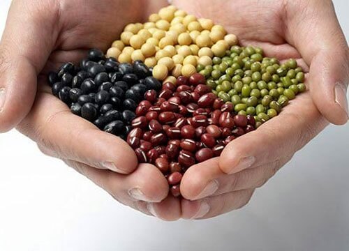 Top 9 loại thực phẩm là "khắc tinh" của ung thư 49 cac-loai-dau