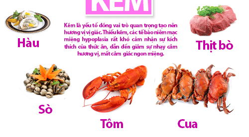Top vitamin và khoáng chất kích thích bé yêu ngon miệng 44 Top vitamin và khoáng chất kích thích bé yêu ngon miệng 18