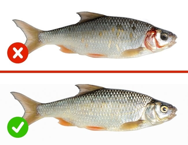 Trang bị "mắt thần" cho mẹ kiểm tra chất lượng thực phẩm 17