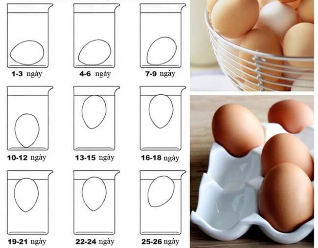 Trang bị "mắt thần" cho mẹ kiểm tra chất lượng thực phẩm 18