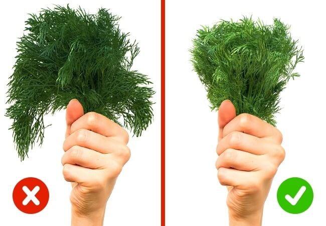 Trang bị "mắt thần" cho mẹ kiểm tra chất lượng thực phẩm 23
