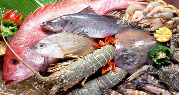 Trẻ dưới 1 tuổi tuyệt đối cần tránh 6 loại thực phẩm 37 tre-duoi-1-tuoi-tuyet-doi-can-tranh-6-loai-thuc-pham