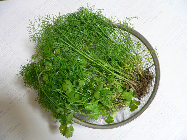Trẻ nhỏ cũng cần ăn rau thơm 35 Trẻ nhỏ cũng cần ăn rau thơm 9