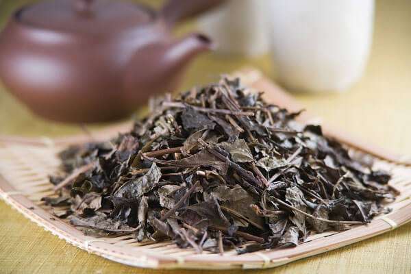 Trị rụng tóc hiệu quả bằng sữa chua 36 tri-rung-toc-hieu-qua-bang-sua-chua