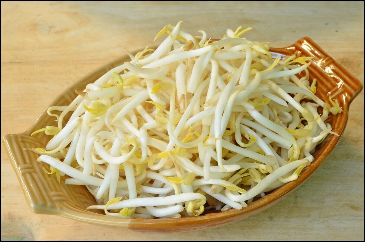 Tự làm giá đỗ bằng vỏ hộp sữa và chai nhựa an toàn tại nhà 11
