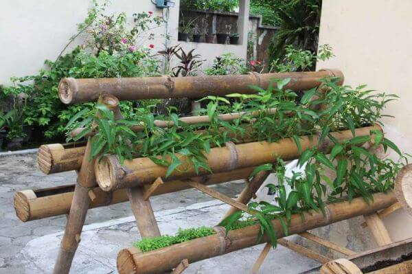 Tự trồng rau sạch tại nhà ư, dễ chưa từng thấy! 25