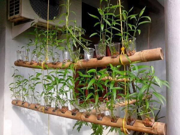 Tự trồng rau sạch tại nhà ư, dễ chưa từng thấy! 30