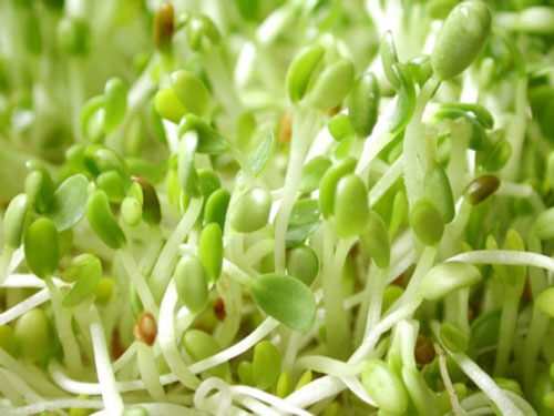 Tuyệt chiêu trị tẩy sạch đồi mồi bằng thực phẩm 37 giup-me-tri-tay-sach-doi-moi-bang-thuc-pham-thien-nhien