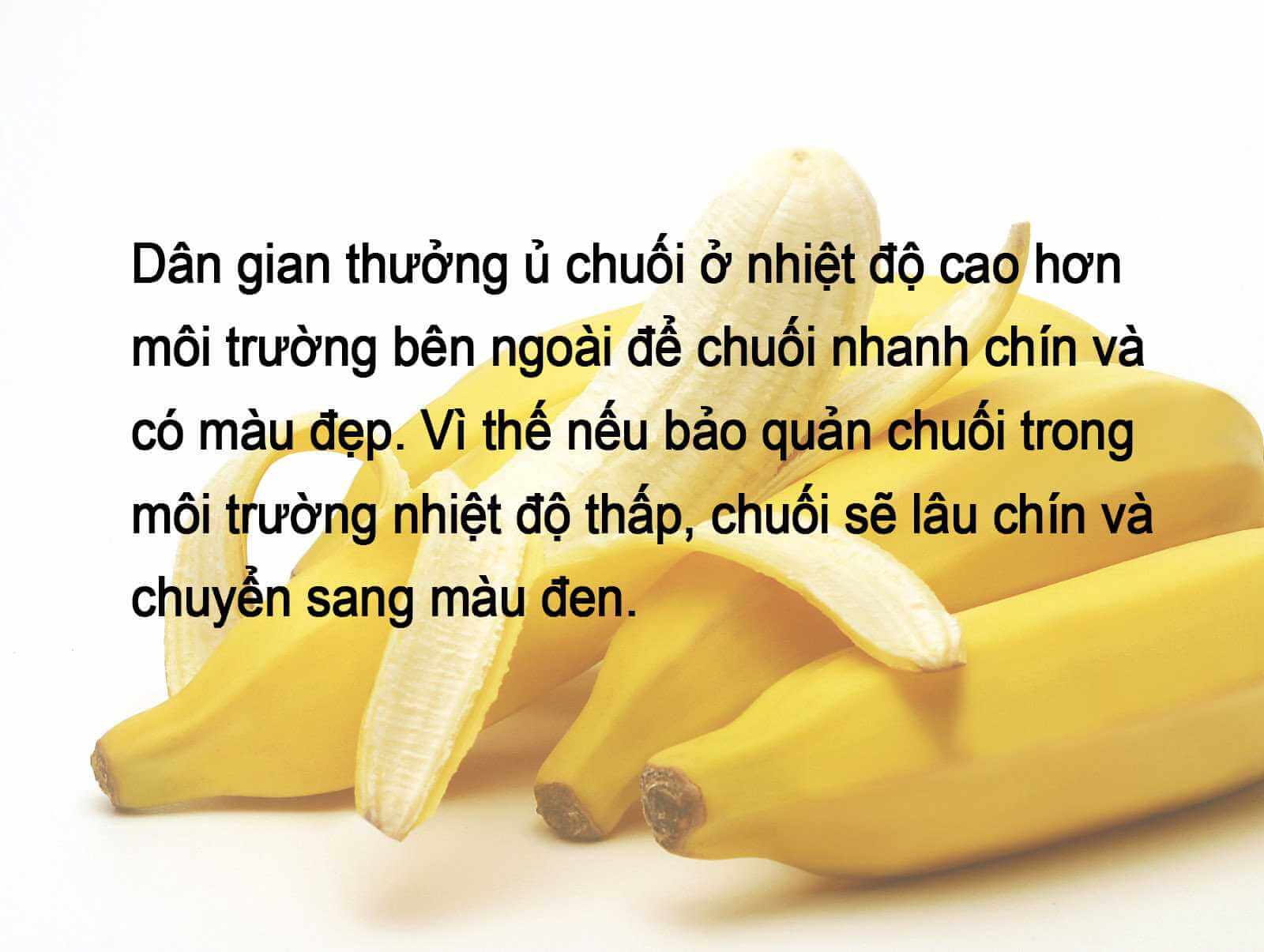 Tuyệt đối không nên cất 18 loại thực phẩm này trong tủ lạnh 59 Tuyệt đối không nên cất 18 loại thực phẩm này trong tủ lạnh 31