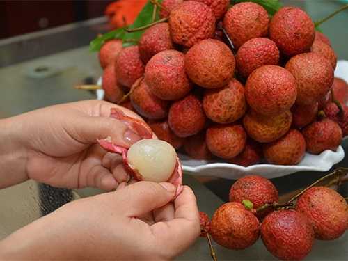 Vải thiều, món ăn ngon và bài thuốc quý cho cả nhà 34 Vải thiều, món ăn ngon và bài thuốc quý cho cả nhà 6