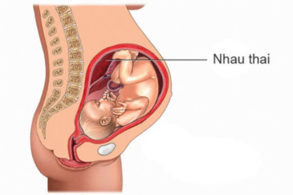 nhau-thai