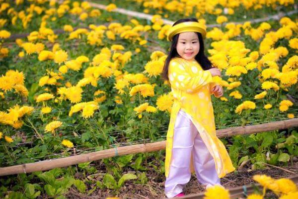 y-nghia-10-loai-hoa-thuong-chung-trong-dip-tet