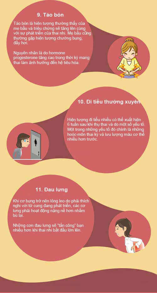 11 dấu hiệu mang thai chuẩn không cần chỉnh 45 11 dấu hiệu mang thai chuẩn không cần chỉnh 18