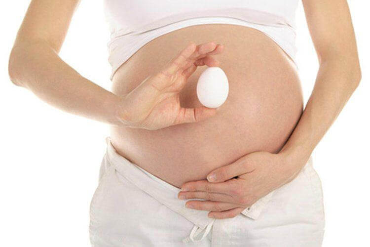 Bà bầu ăn trứng ngỗng con có thông minh hơn? 35 Bà bầu ăn trứng ngỗng con có thông minh hơn? 7