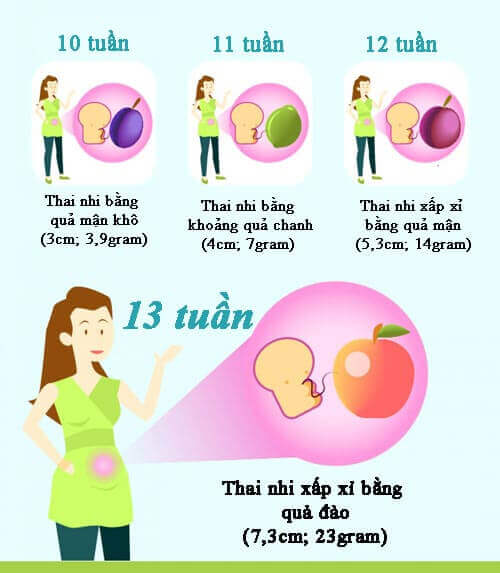 Qu&aacute; tr&igrave;nh ph&aacute;t triển thai nhi 
