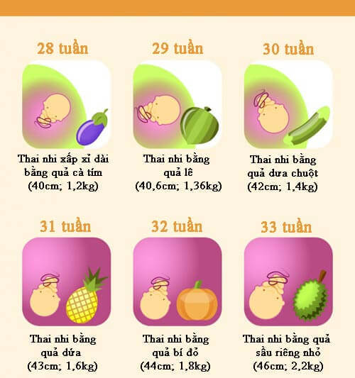 Qu&aacute; tr&igrave;nh ph&aacute;t triển thai nhi 
