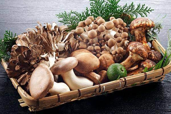Cách giúp trẻ tăng chiều cao chỉ với 10 loại thực phẩm quen thuộc 47 Cách giúp trẻ tăng chiều cao 4