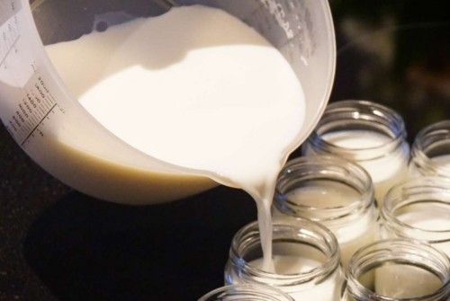 Cách làm sữa chua bằng sữa tươi úp ngược không đổ 40 cách làm sữa chua bằng sữa tươi