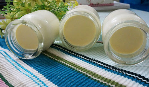 Cách làm sữa chua bằng sữa tươi úp ngược không đổ 43 cách làm sữa chua bằng sữa tươi