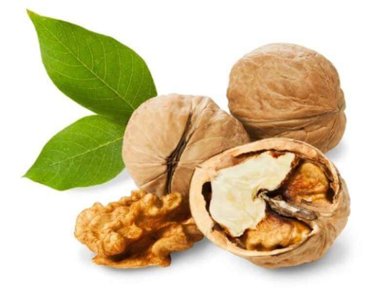 hạt óc chó