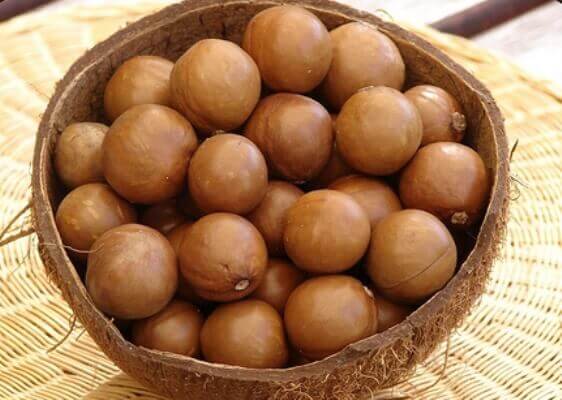 Điểm danh 11 loại hạt ngày tết tốt cho bà bầu 11