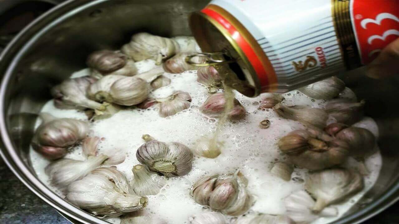 Hướng dẫn làm tỏi đen bằng nồi cơm điện và bia tại nhà 41 Hướng dẫn làm tỏi đen bằng nồi cơm điện và bia tại nhà 13
