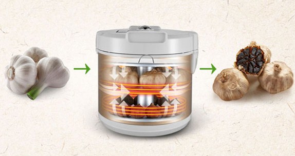 Hướng dẫn làm tỏi đen bằng nồi cơm điện và bia tại nhà 43 Hướng dẫn làm tỏi đen bằng nồi cơm điện và bia tại nhà 15