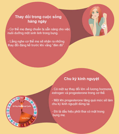 Infographic: Các dấu hiệu nhận biết có thai cực chuẩn 40 Infographic: Các dấu hiệu nhận biết có thai cực chuẩn 13