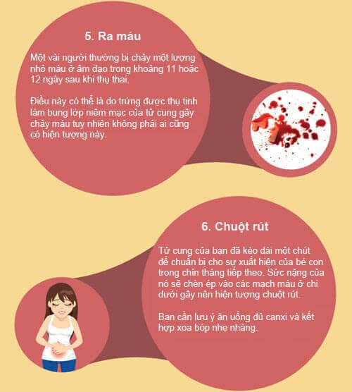 Infographic: Các dấu hiệu nhận biết có thai cực chuẩn 43 Infographic: Các dấu hiệu nhận biết có thai cực chuẩn 16