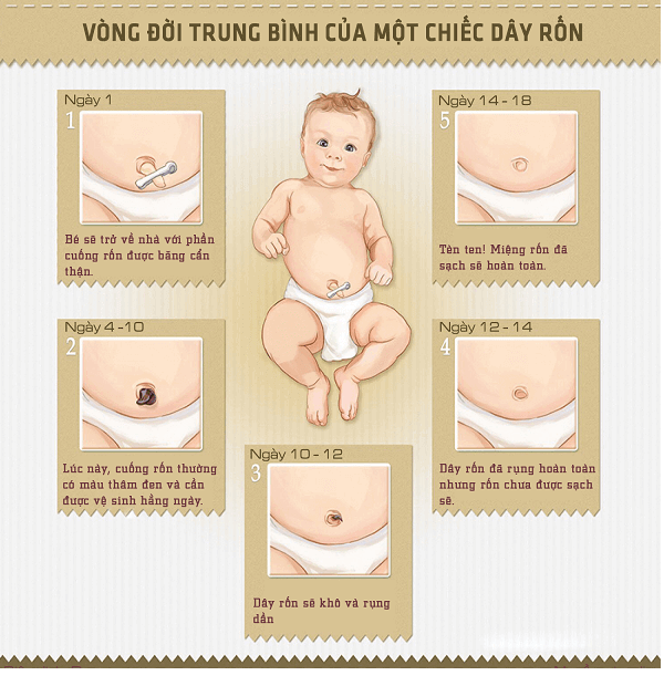 Mách mẹ về cách chăm sóc rốn trẻ sơ sinh đúng chuẩn 6