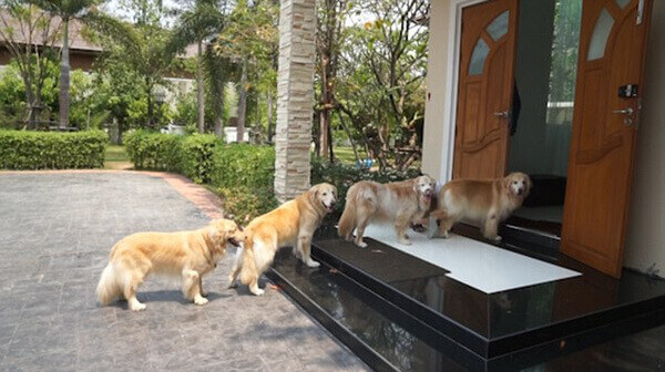 Những điều nên làm trong ngày tết để rước may mắn vào nhà 37 Những điều nên làm trong ngày tết để rước may mắn vào nhà 9