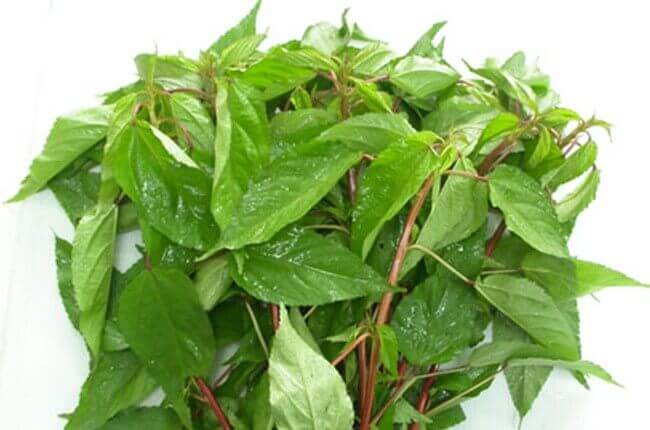 Sinh mổ nên ăn rau gì để nhanh lành vết thương? 34 Sinh mổ nên ăn rau gì để nhanh lành vết thương? 7