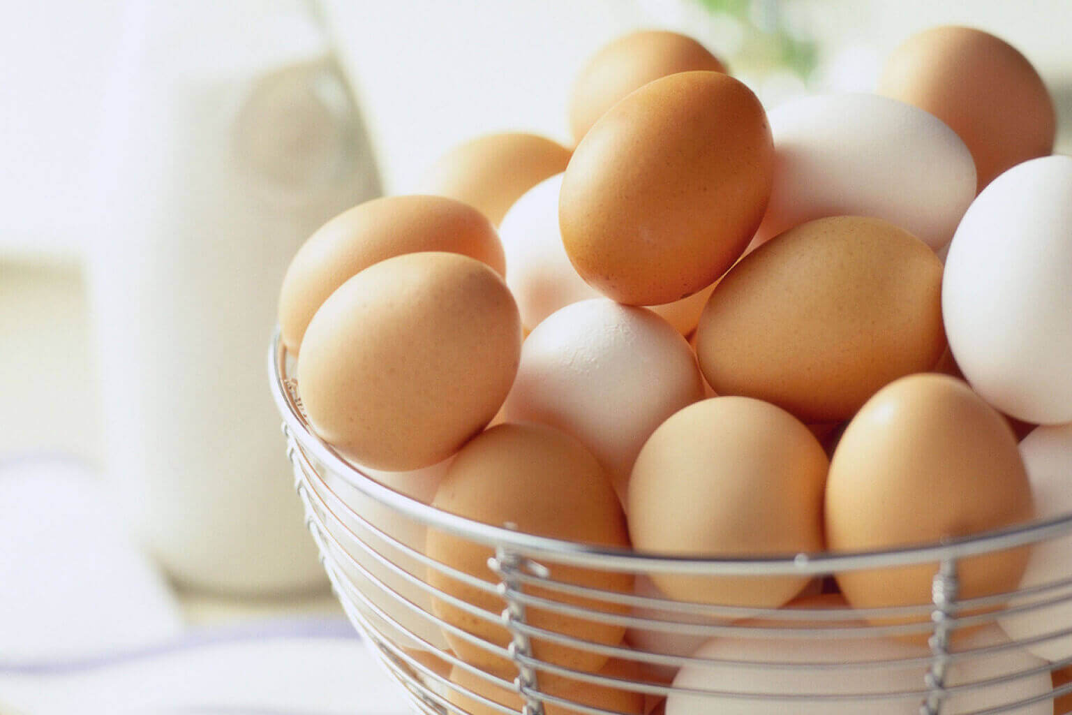Sốt xuất huyết không nên ăn gì để nhanh hồi phục 35 Sốt xuất huyết không nên ăn gì để nhanh hồi phục 8
