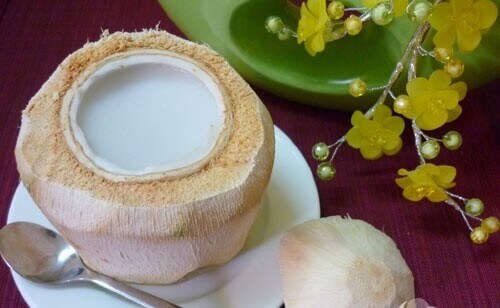 L&agrave;m thạch dừa rau c&acirc;u 