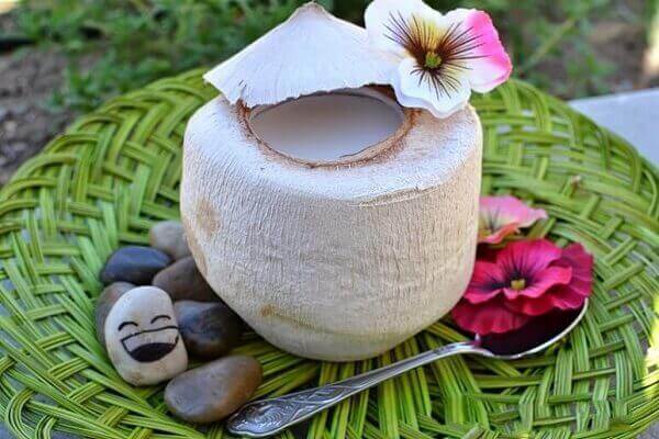 L&agrave;m thạch dừa rau c&acirc;u 