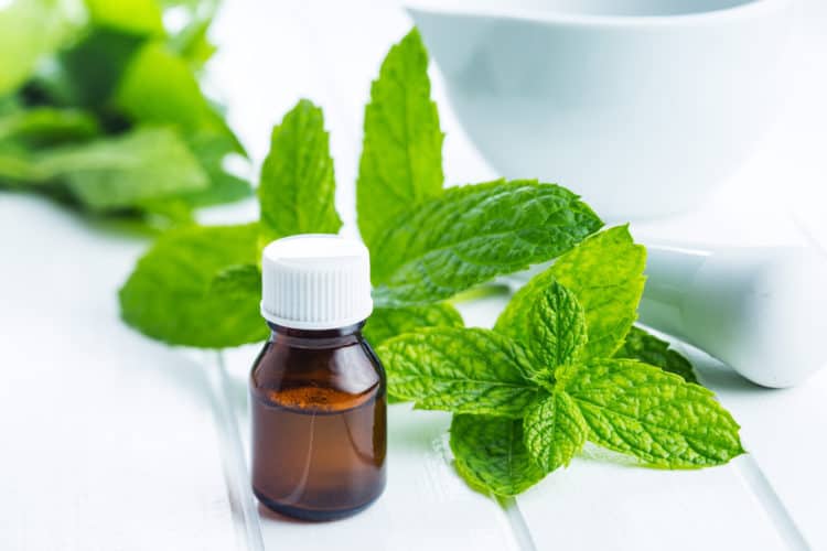 Ướp hương không gian với cách làm nước xịt phòng đơn giản 38 cách làm nước xịt phòng