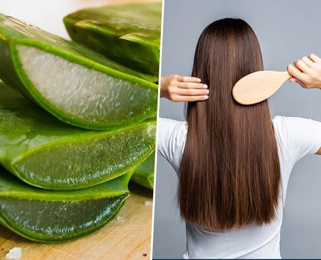 Da đẹp, tóc khỏe nhờ 7 bí quyết làm đẹp bằng nha đam 37 làm đẹp tóc bằng nha đam