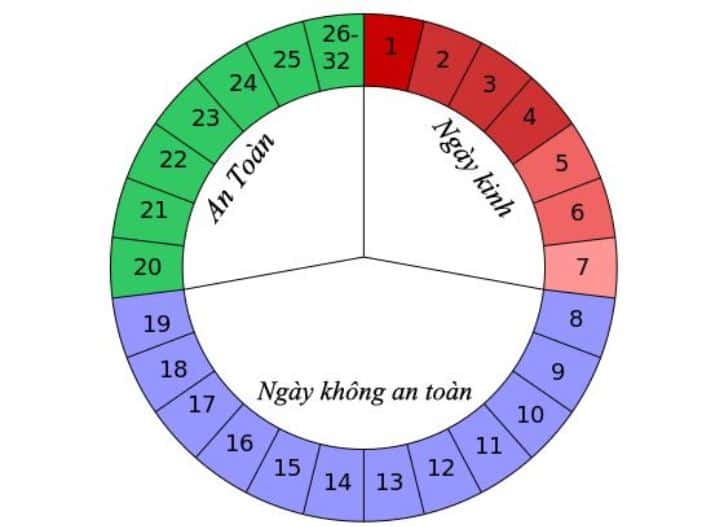 Chuẩn Bị Mang Thai: Canh ngày đón trứng 9