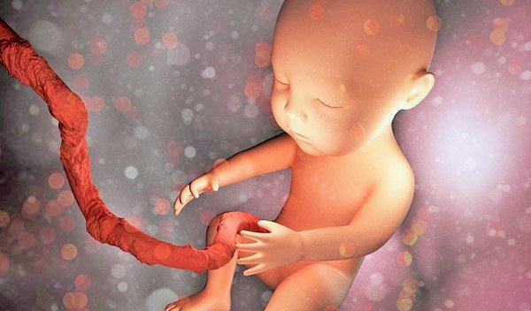 Chín Tháng Thai Kỳ: Những điều cần biết về dây rốn 8