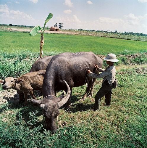 Việt Nam thời chiến qua hình ảnh trẻ em 38 Việt Nam thời chiến qua hình ảnh trẻ em 2
