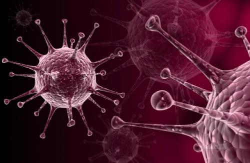 4 loại virus nguy hiểm cho thai nhi 34 virus cự bào