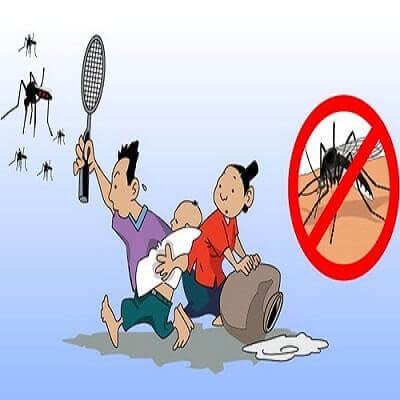 Sốt xuất huyết có khó đề phòng không? 4