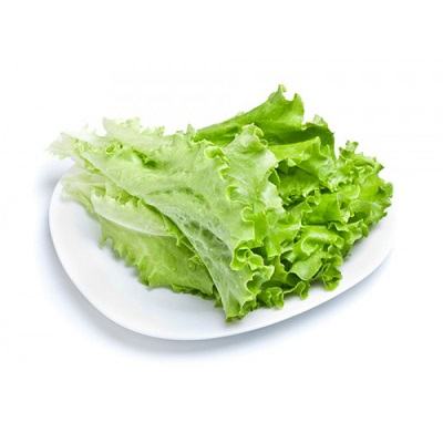 Mẹo giữ xà lách tươi ngon cả tuần 8