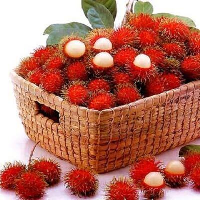 Bí quyết chọn chôm chôm “chuẩn không cần chỉnh” của nhà vườn 5